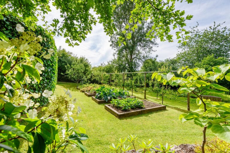 property 26