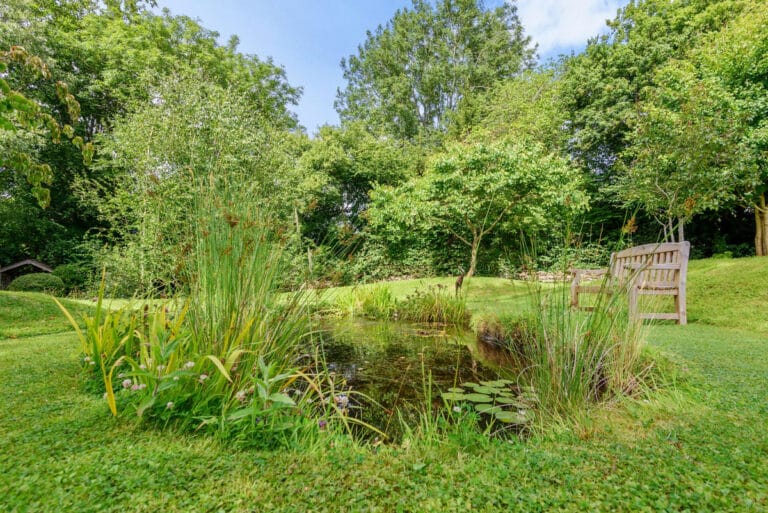 property 24
