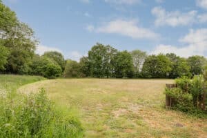 image 23
