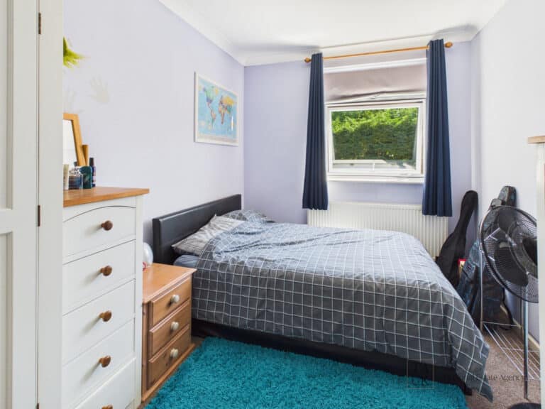 property 19