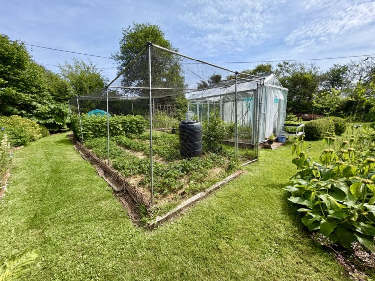 property 26