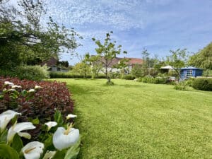 image 27