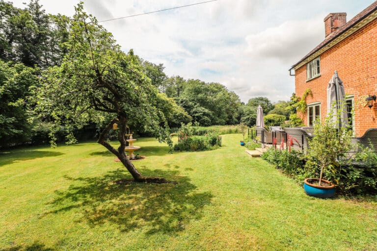 property 31