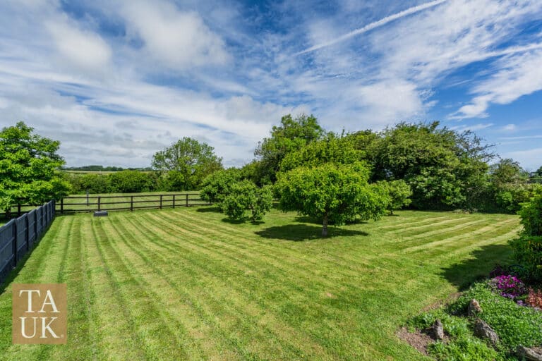 property 29